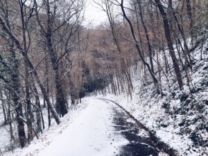 Winterbanden in Duitsland: Hoe blijf je fahren, fahren, fahren auf der Autobahn?